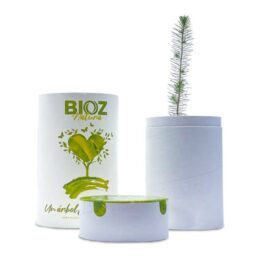 Urna para cenizas Bioz árbol biodegradable